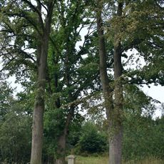 Kříž u Čerňovic u rybníka