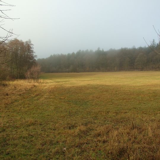 Louky v oboře Libeň