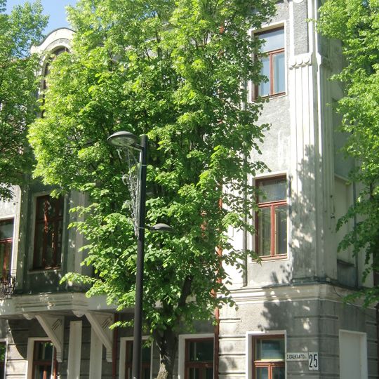 President Valdas Adamkus Library and Museum in Kaunas