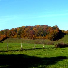 Steinrother Wäldchen