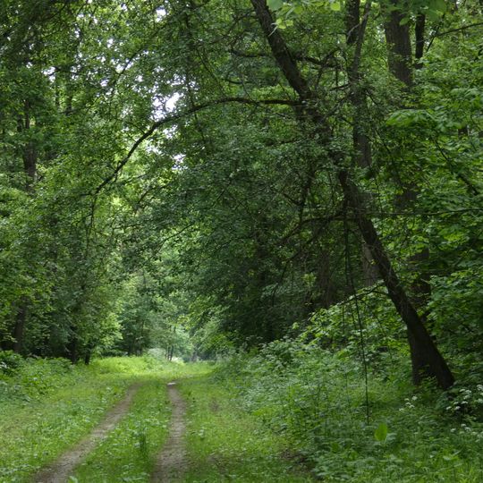 Kobyschtschanska Datscha