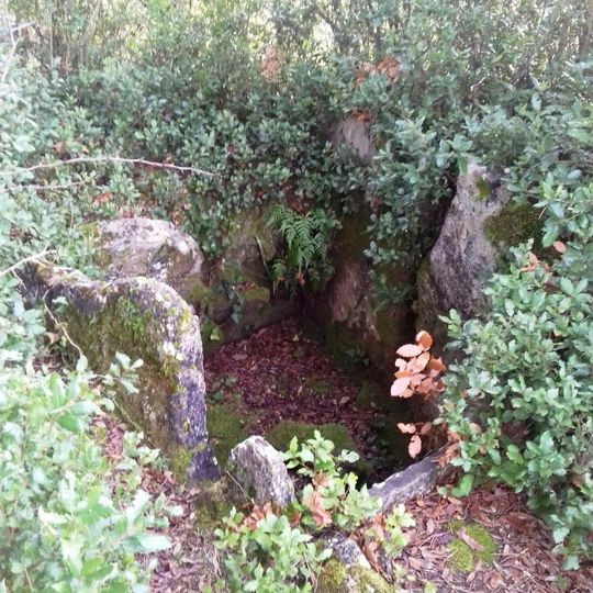 Dolmen del Gavatx