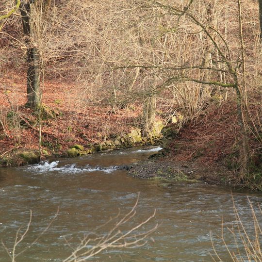 NSG Herbringhauser Bachtal