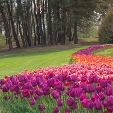 Sofia University botanical garden, Varna