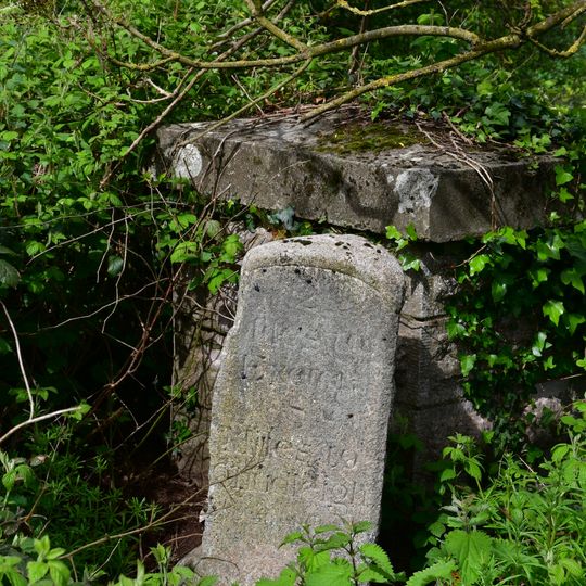 Milestone At Sx 919889