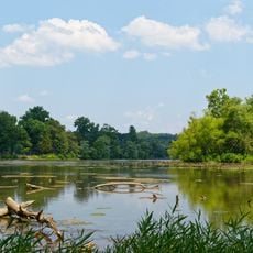Cove Lake State Park