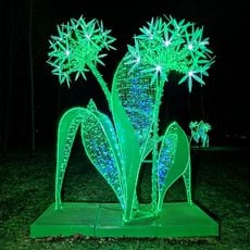 Sezonowa wystawa Książęcy Park Iluminacji ,,Baśniowe Zatonie”