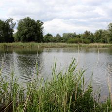 Donaualtwasser Staatshaufen