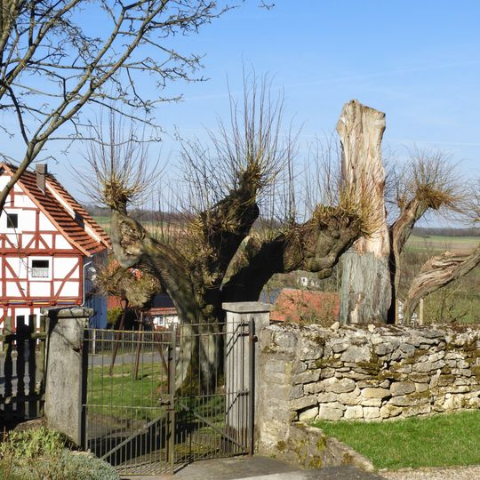 Archfelder Dorflinden