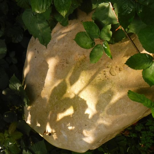 Pierre avec empreintes de Blaireau