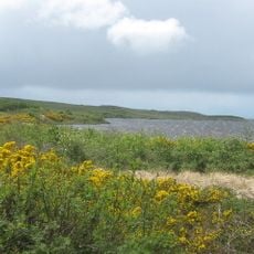Lickeen Lough