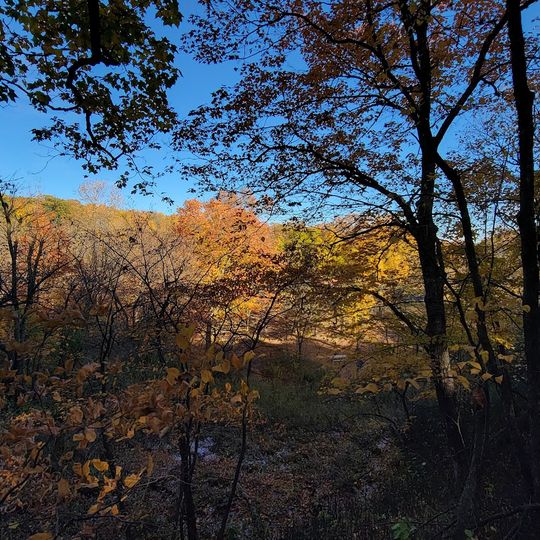 Sica Hollow State Park