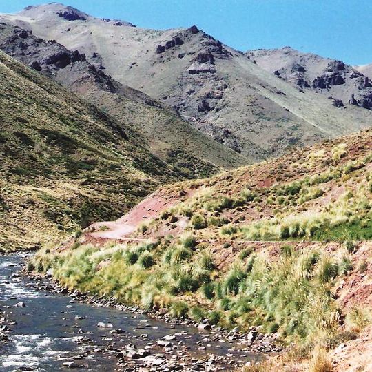 Paso Pehuenche