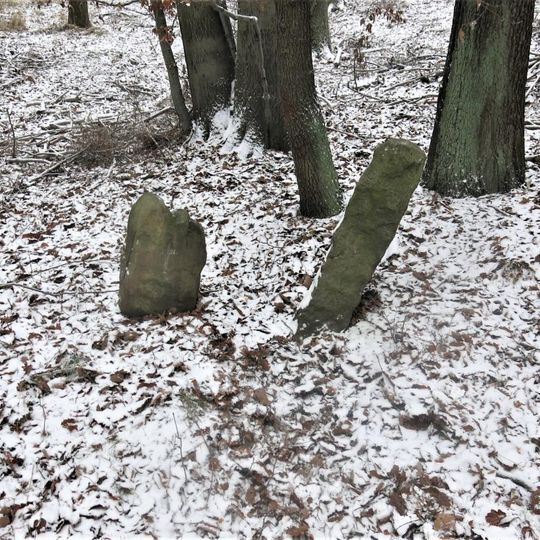 Křížové kameny u lesní cesty východně od Dolního Týnce