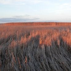 Long Point Biosphere Reserve