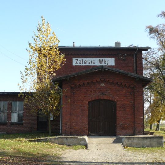 Zalesie, Gostyń County