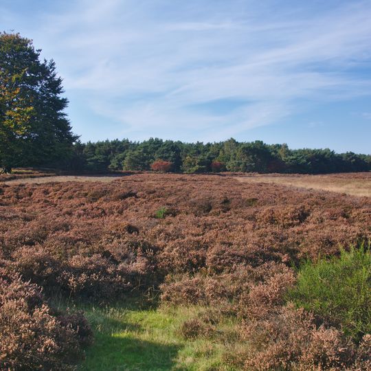 Westerheide