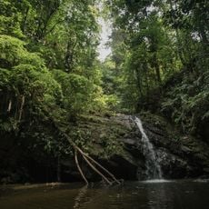 Trinidad and Tobago moist forests