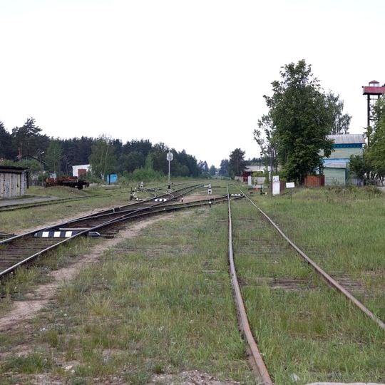 Tsentralny, Volodarsky District