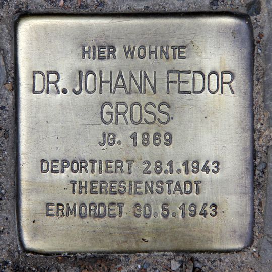 Stolperstein dedicated to Dr. med. Johann Fedor Gross