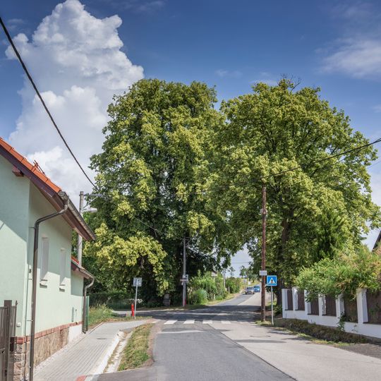 Lípy v Hrusicích u Božích muk