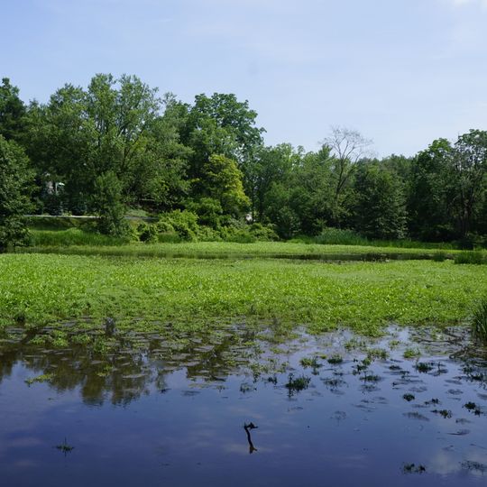 Centreville Conservation Area
