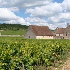 Clos de Vougeot
