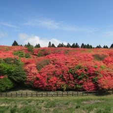 船窪つつじ公園