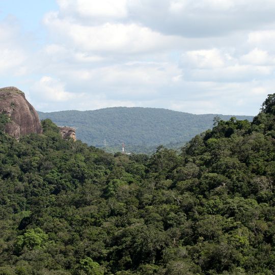 Kaludiya Pokuna Forest