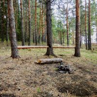 Каменушка (Гур'євський округ)