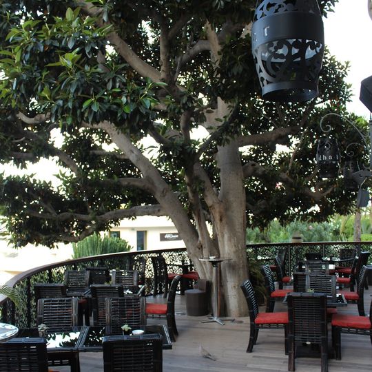 Buddha-Bar