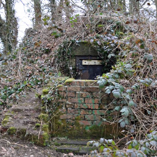 Ice house 400 metres west of the former Hale Hall