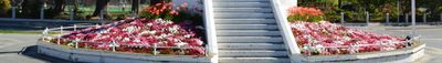 Panoramic View 0