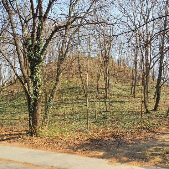 Hügelgrab Hütelberg