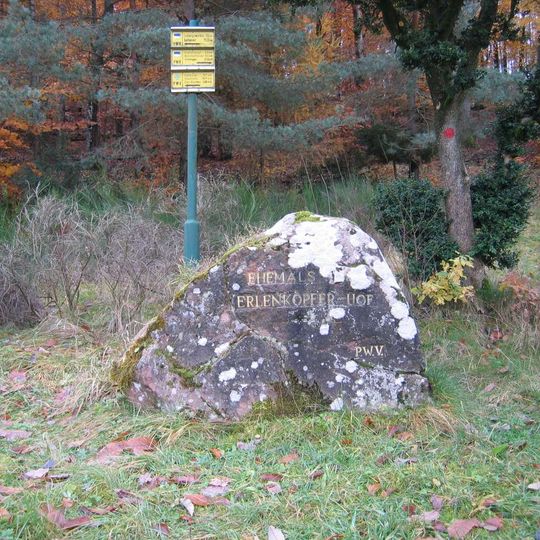 Ritterstein 195 "Ehemals Erlenkopfer-Hof"