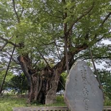 Uenohara no Okeyaki
