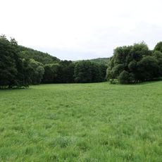 Daisbachwiesen bei Bremthal