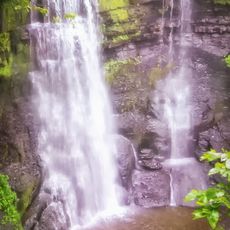 Plotter Kill Preserve