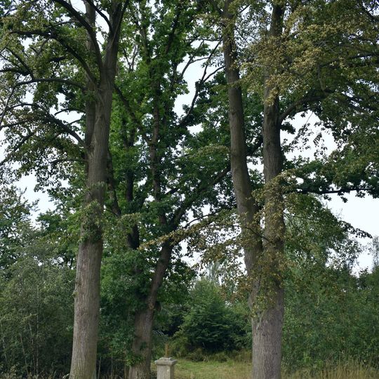 Kříž u Čerňovic u rybníka