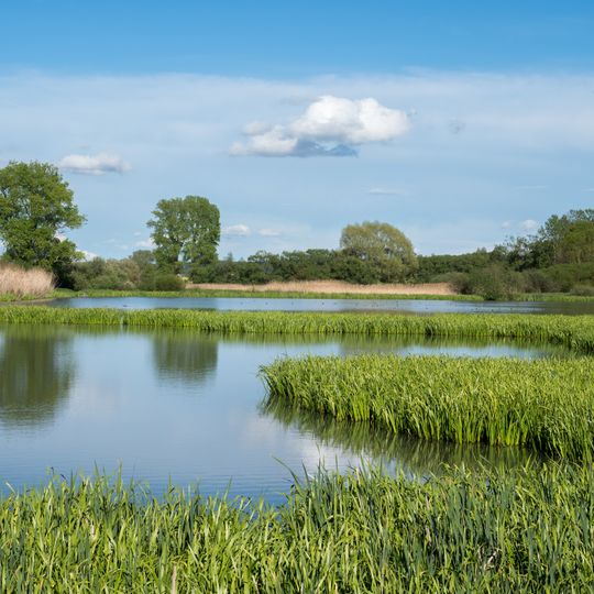 Weihergebiet bei Krausenbechhofen