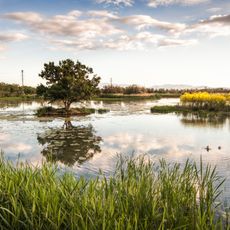 Closes i estany del Cortalet
