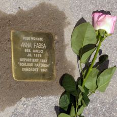 Anna Fassa