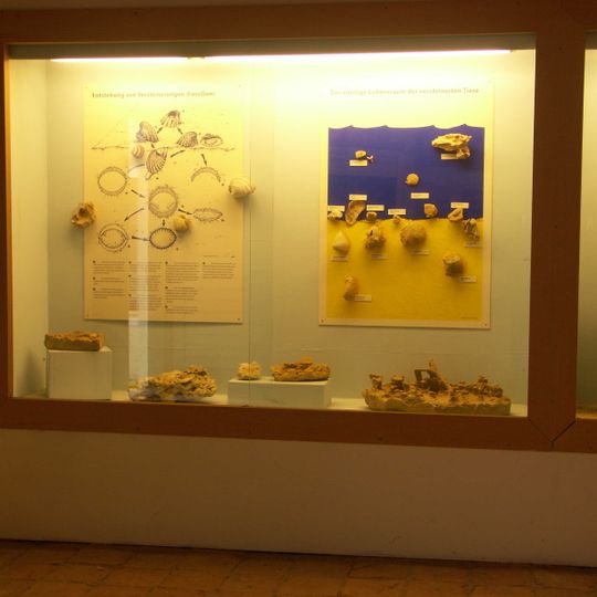 Fossilienschauraum Obernholz