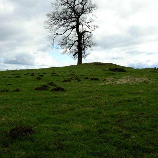 Round barrow 340m east of Cliffe Hall known as Betty Watson's Hill