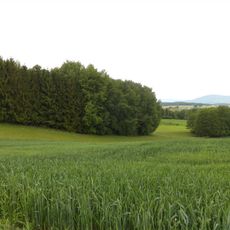Stockhügel und Auerbach