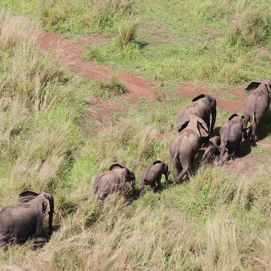Parque nacional Garamba