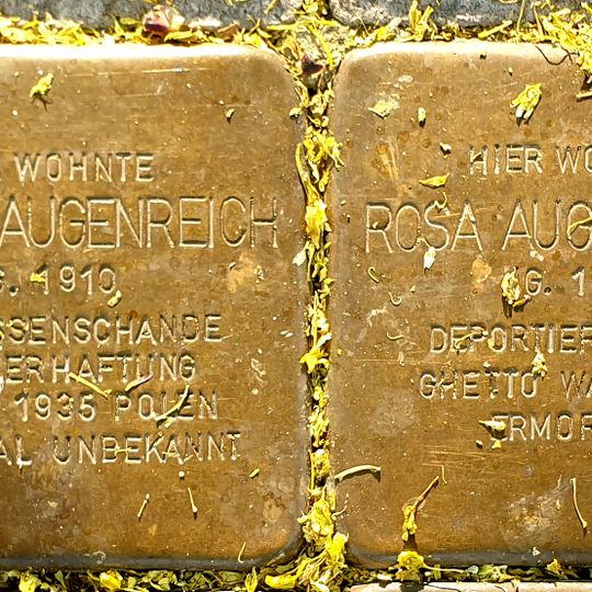 Stolperstein en memoria de Rosa  Augenreich
