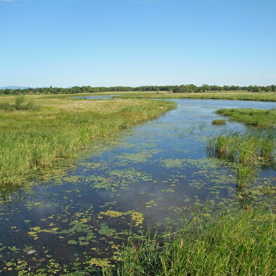 Khanka Nature Reserve