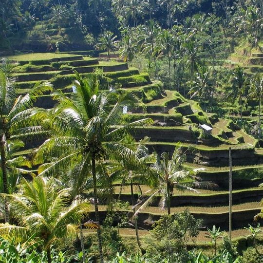 Provincia de Bali