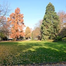 Rosenfelspark